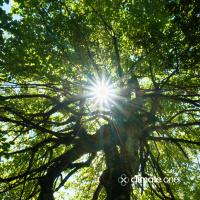 CLIMATE ONE: Three Big Thinkers With No Room for Doom