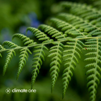 CLIMATE ONE: Biomimicry  Green Burial: Living and Dying with Nature in Mind