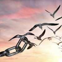 George Hammond: How Can We Be Sure We Have Free Will?