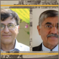 PAKISTAN AND INDIA: COMMON ORIGINS, Pakistan and India: Common Origins, Divergent Trajectories. Why?