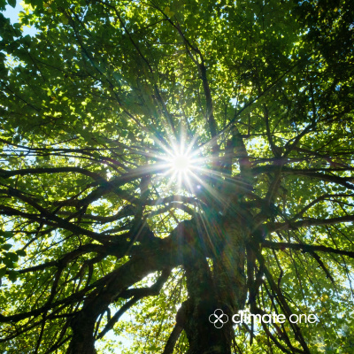 Commonwealth Club Of California Podcast