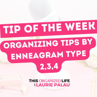 Tip of the Week- New Year Organizing with Enneagram Insights- Enneagram Types 2, 3, 4 | Ep 95