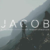 The Roots Of Our Dysfunction