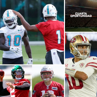 ¿Pueden ser los Dolphins el caballo negro de esta temporada?