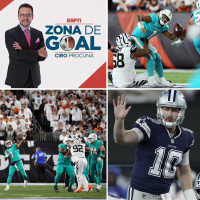 Los Dolphins pierden lo invicto en Cincinnati