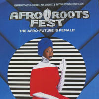 The Afro Roots Festival in Miami