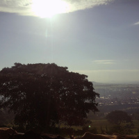 858 Oromo Music: Historical Memory and Competing Visions in Ethiopia