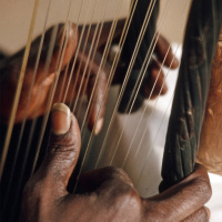 Journeys With The Kora