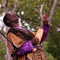 Roots Reinvented in Mali and Egypt