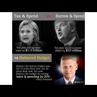 Liberty And The Constitution With Libertarian Ric McCluskey