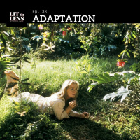 33. Adaptation