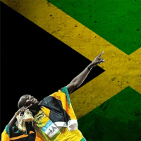 Episode 18 - The incredible story of Jungle