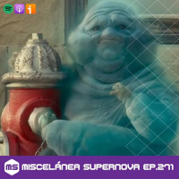 271 - In the absence of light and hope, we sing