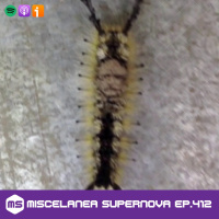 412 - My name is Gyobu Masataka Oniwa