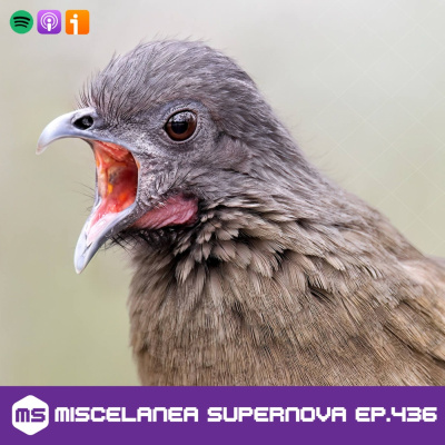 Miscelanea Supernova