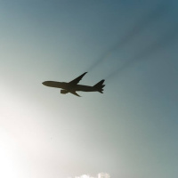 Store fugle og hotdogs