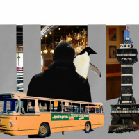 RØVERHISTORIER: En pingvin under frakken