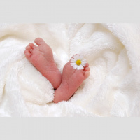 LEP#001 – Die Geburt eines neuen Podcast