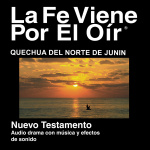 Quechua Del Norte De Junín Biblia - Quechua North Junin Bible
