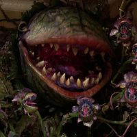 Anime 145 - Swishy Bishi