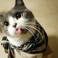 Episode 10: What happened to the scarf?