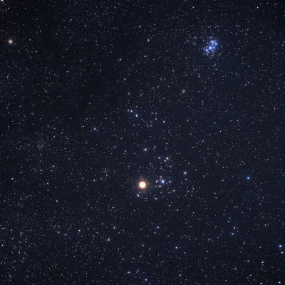 So... What Do We Do?