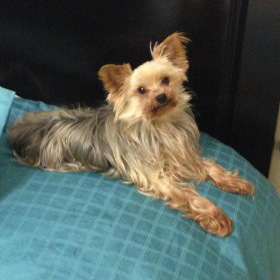 So... What Do We Do?