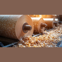 Il viaggio circolare di legno e carta