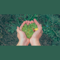 Please In My BackYard - I premi Pimby 2025