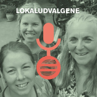Lokaludvalgene - Det skjulte nærdemokrati