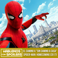 El Camino a Sin Camino a Casa: Spider-Man Homecoming (2017) Spider-Man vs Batman