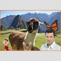 EN082 – Elmer ecido episodio