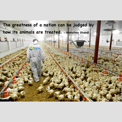 Rethink True Health With Nathan Brammeier