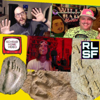 500: 500 - Fossilized Human Foot prints with Krocky Meshkin