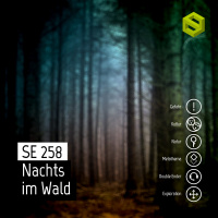 SE 258: Nachts im Wald
