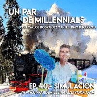 #40 Simulación