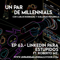 #63 LinkedIn para Estúpidos
