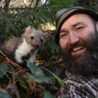 Woid Woife Lotta, das Mardermädchen