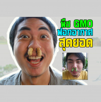WiTdaily – พืช GMO ฟอกอากาศ