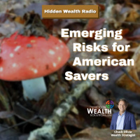 Emerging Risks for American Savers
