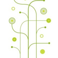 Branches Church- Feb 9 2014