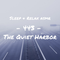 The Quiet Harbor