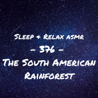 South American Rainforest