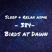 Birds at Dawn