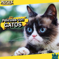 153 - Películas Con Gatos 