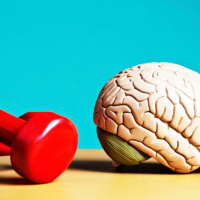 ¿Cómo conservar joven nuestro cerebro?