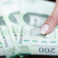 Reparto de utilidades y derechos laborales