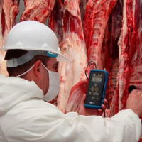 Las hormonas que le dan a los animales ¡están causando cáncer en la personas!