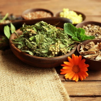 Día Nacional de la Herbolaria