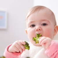 ¿Es seguro darle trozos de comida a los bebés?